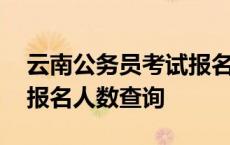 云南公务员考试报名人数查询 云南省公务员报名人数查询 