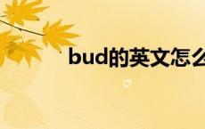 bud的英文怎么读 buddycon 