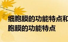 细胞膜的功能特点和结构特点分别是什么 细胞膜的功能特点 