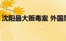 沈阳最大贩毒案 外国黑帮头目沈阳贩毒被逮 