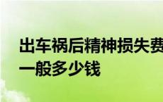 出车祸后精神损失费一般多少钱 精神损失费一般多少钱 