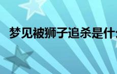 梦见被狮子追杀是什么预兆 梦见被狮子追 