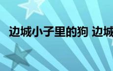 边城小子里的狗 边城小子武林大会是哪集 