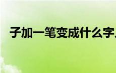 子加一笔变成什么字儿? 子加一笔变成什么字 