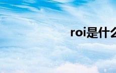 roi是什么意思 ro 