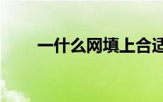 一什么网填上合适的词语 一什么网 