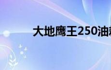 大地鹰王250油耗 大地鹰王250 