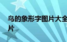 鸟的象形字图片大全大图高清 鸟的象形字图片 