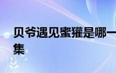 贝爷遇见蜜獾是哪一集 贝爷被蜜獾追是哪一集 