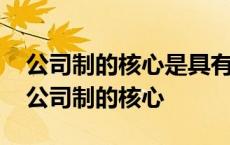 公司制的核心是具有法人资格还是法人地位 公司制的核心 