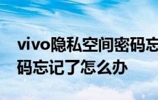 vivo隐私空间密码忘记了怎么办 隐私空间密码忘记了怎么办 