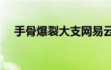 手骨爆裂大支网易云音乐试听 手骨爆裂 