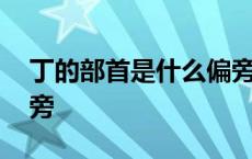 丁的部首是什么偏旁组词 丁的部首是什么偏旁 