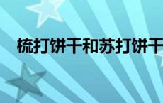 梳打饼干和苏打饼干是一回事吗? 梳打饼 