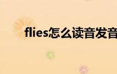 flies怎么读音发音 音标 flies怎么读 