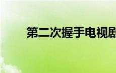 第二次握手电视剧全集 第二次握手 