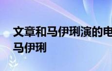 文章和马伊琍演的电视剧都是有什么 文章与马伊琍 