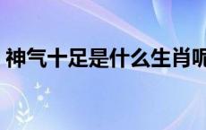 神气十足是什么生肖呢 神气十足是什么生肖 