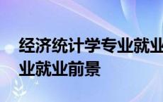 经济统计学专业就业前景男生 经济统计学专业就业前景 