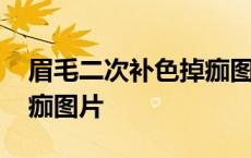 眉毛二次补色掉痂图片真实 眉毛二次补色掉痂图片 