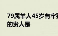 79属羊人45岁有牢狱之灾吗 1979年属羊女的贵人是 