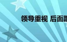 领导重视 后面跟什么 领导重视 