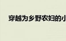 穿越为乡野农妇的小说 穿越为乡野农妇 