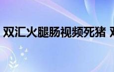 双汇火腿肠视频死猪 双汇火腿肠死人肉做的 