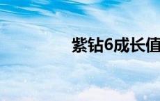 紫钻6成长值 紫钻成长值 