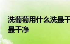 洗葡萄用什么洗最干净视频 洗葡萄用什么洗最干净 