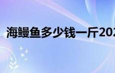 海鳗鱼多少钱一斤2023 海鳗鱼多少钱一斤 