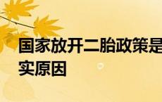 国家放开二胎政策是哪一年 国家放开二胎真实原因 