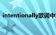 intentionally歌词中文翻译 intentionally 