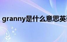 granny是什么意思英语 granny是什么意思 