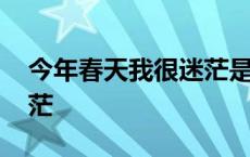 今年春天我很迷茫是什么歌 今年春天我很迷茫 