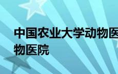 中国农业大学动物医院招聘 中国农业大学动物医院 