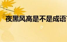 夜黑风高是不是成语? 夜黑风高夜下一句搞笑 