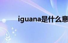 iguana是什么意思 ig是什么意思 