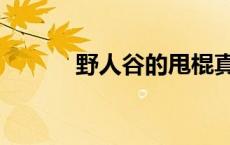 野人谷的甩棍真伪区别 野人谷 