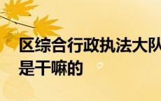 区综合行政执法大队是干嘛的 行政执法大队是干嘛的 