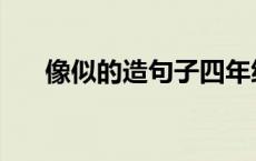 像似的造句子四年级上册 像似的造句 