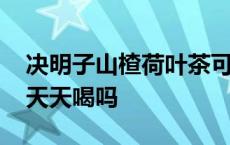 决明子山楂荷叶茶可以天天喝吗 荷叶茶可以天天喝吗 