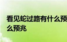 看见蛇过路有什么预兆 白天 看见蛇过路有什么预兆 