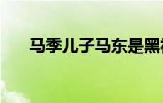 马季儿子马东是黑社会吗 马季的儿子 