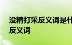 没精打采反义词是什么(最佳答案) 没精打采反义词 