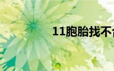 11胞胎找不合理 11胞胎 