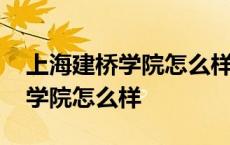 上海建桥学院怎么样孩子毕业去向 上海建桥学院怎么样 