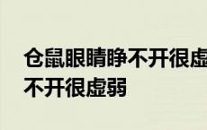 仓鼠眼睛睁不开很虚弱呼吸急促 仓鼠眼睛睁不开很虚弱 