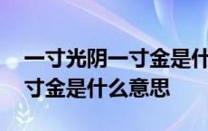 一寸光阴一寸金是什么意思解释 一寸光阴一寸金是什么意思 