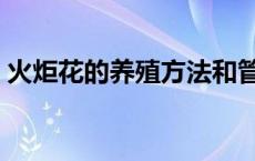 火炬花的养殖方法和管理 火炬花的养殖方法 